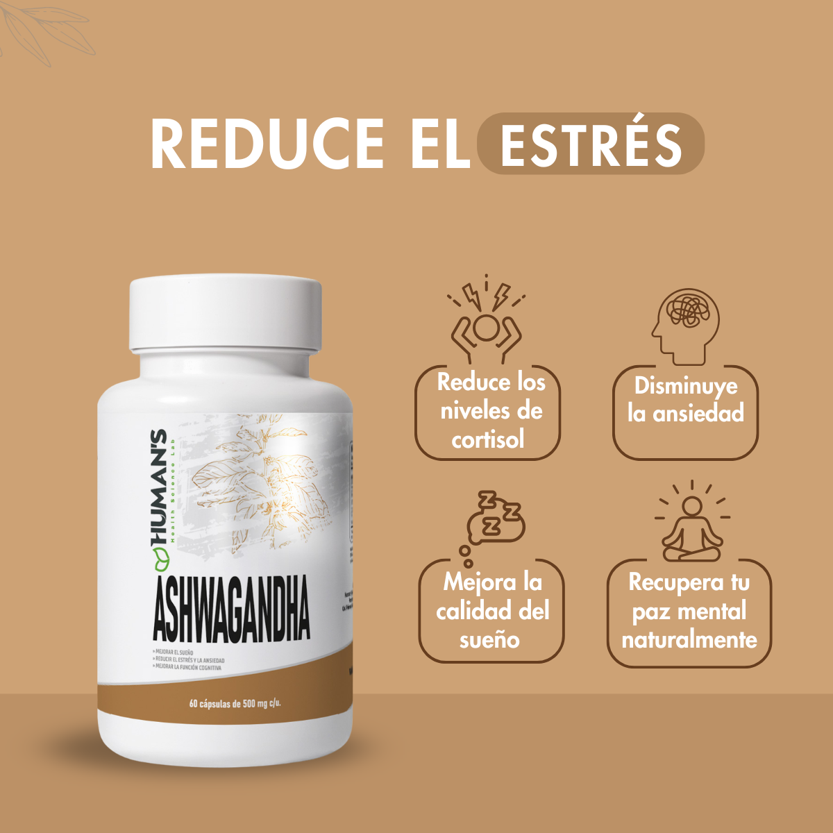 ASHWAGHANDA CON 60 CPS