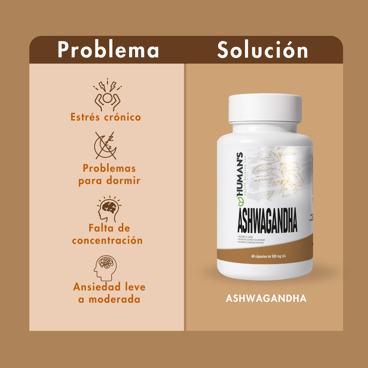 ASHWAGHANDA CON 60 CPS