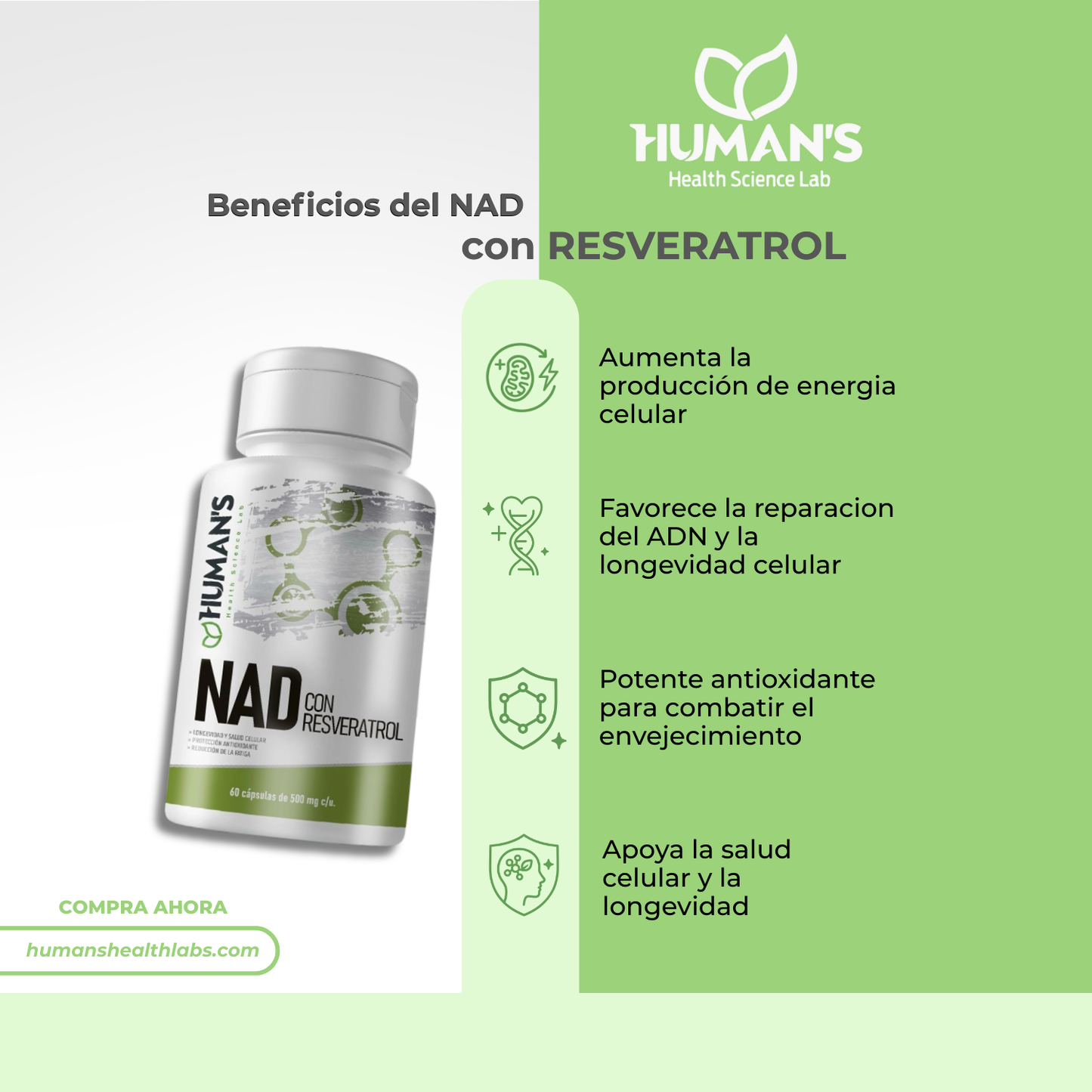 NAD+ Resveratrol (Nicotamida Adenia Dineclotido)